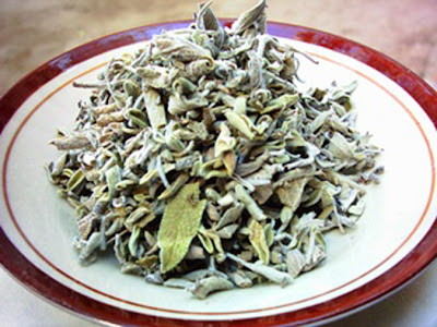 палео диета лорен кордейн скачать