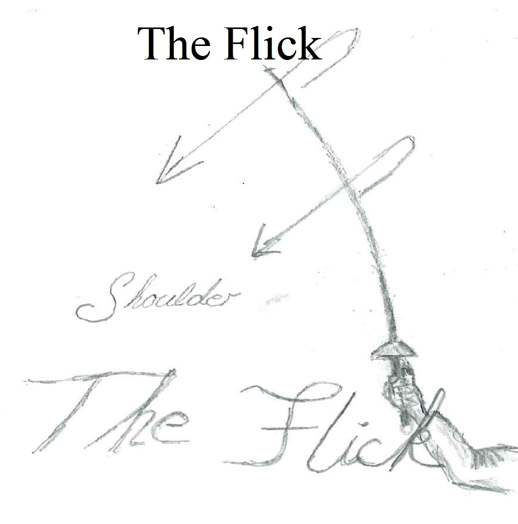 AcademicCapital Introducing the Fencing Flick