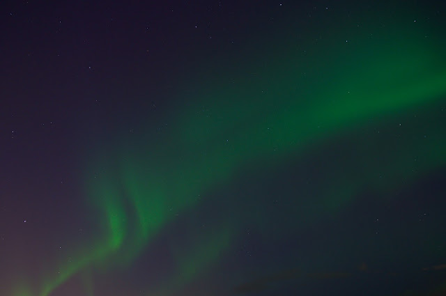 Aurora Borealis, The Northern Lights, The Northern Lights Tour, Iceland, reykjavik, Travelling, melihat Aurora, wisata