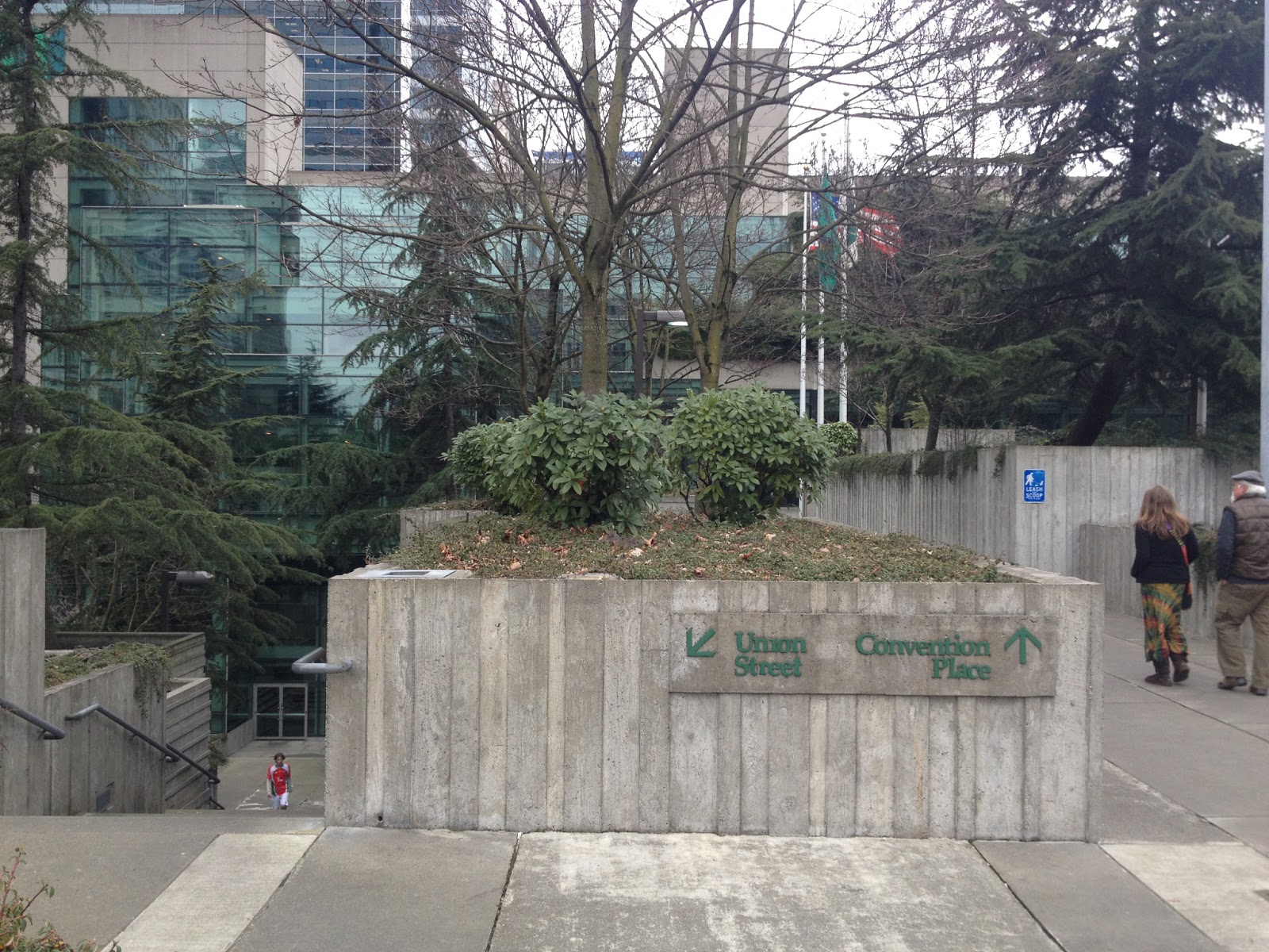 Nifty Nemesia Rotary Botanical Gardens