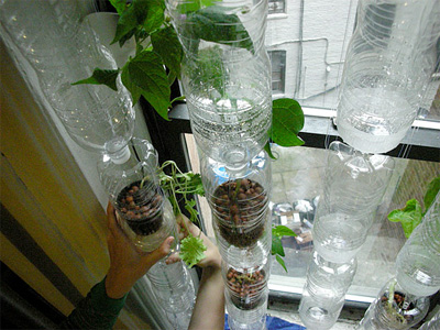 Hydroponics News Turn Your Windows Into A Vertical Garden