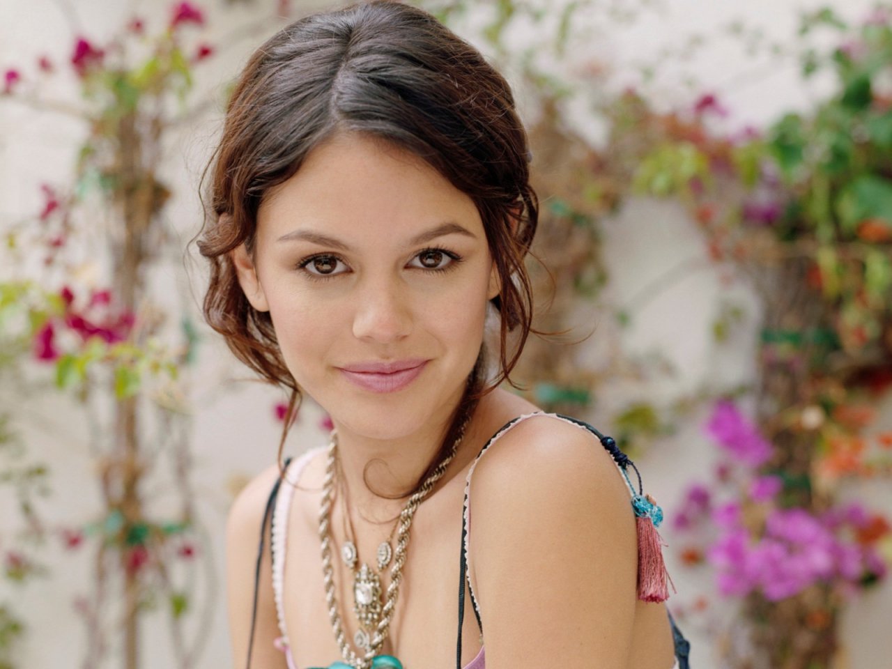 Actresses HD Wallpapers: Rachel Bilson hd wallpapers