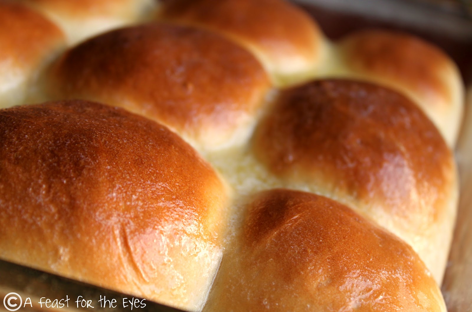60Minute Dinner Rolls (Yes,fresh baked rolls in one hour!) A Feast