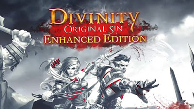 Divinity Original Sin Enhanced Edition - PC