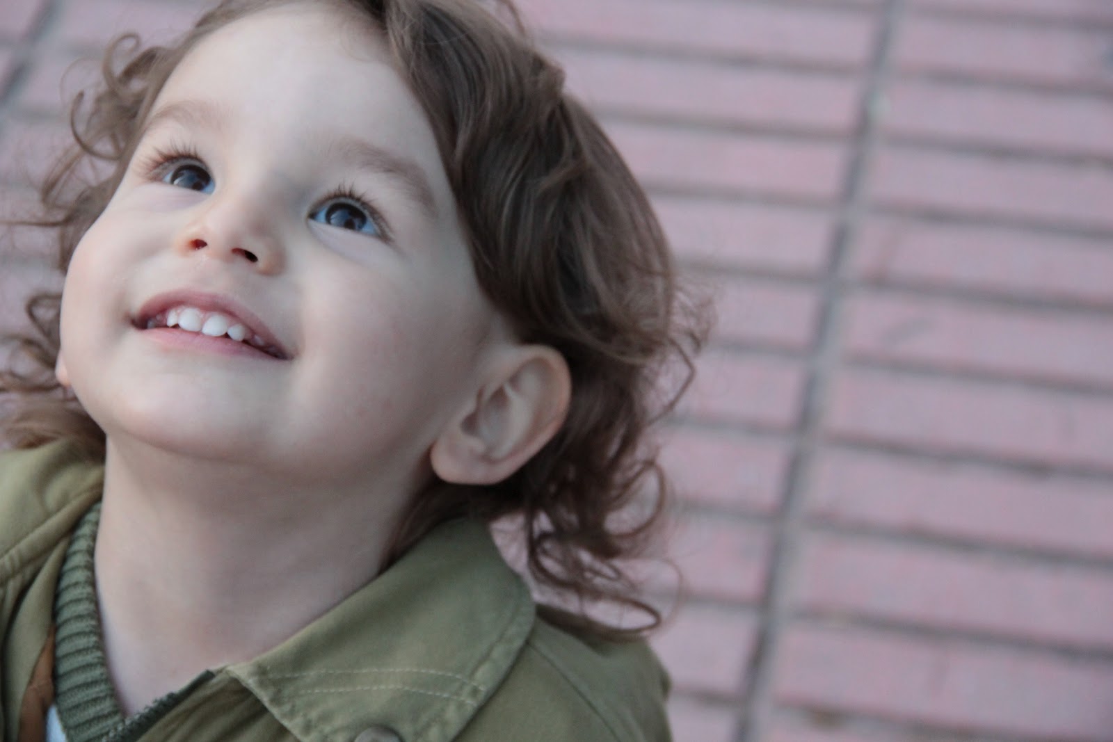 Şubat 2012 UĞURBÖCEĞİ TOPRAK