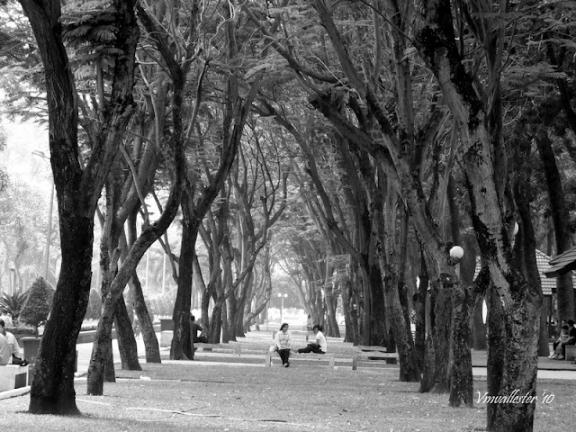 black and white photo of Saigon Park, Vietnam 