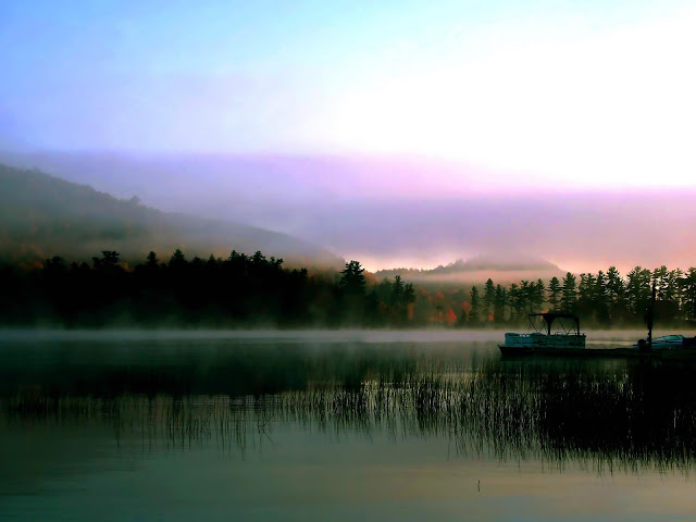 Pictures: 40 Beautiful Nature Wallpapers HD | Amazing, Funny, Beautiful