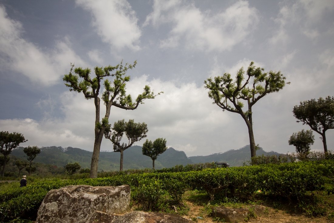 Hill Country Haputale Sri Lanka