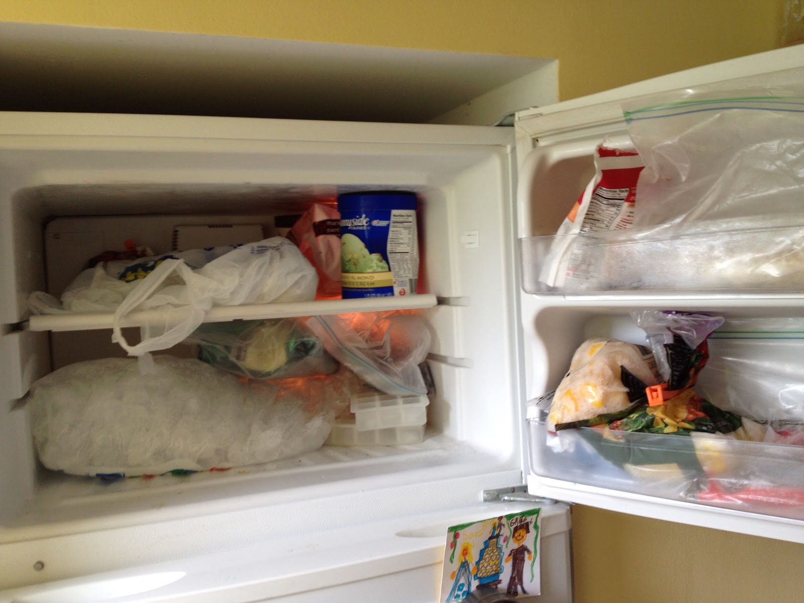 Savannah Smiles DIY {sorta} freezer/fridge organizer