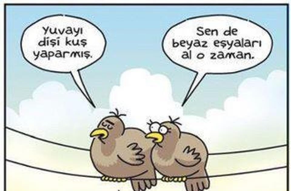 Yuvayı Dişi Kuş mu Yapar Yuvayı Dişi Kuş mu Yapar