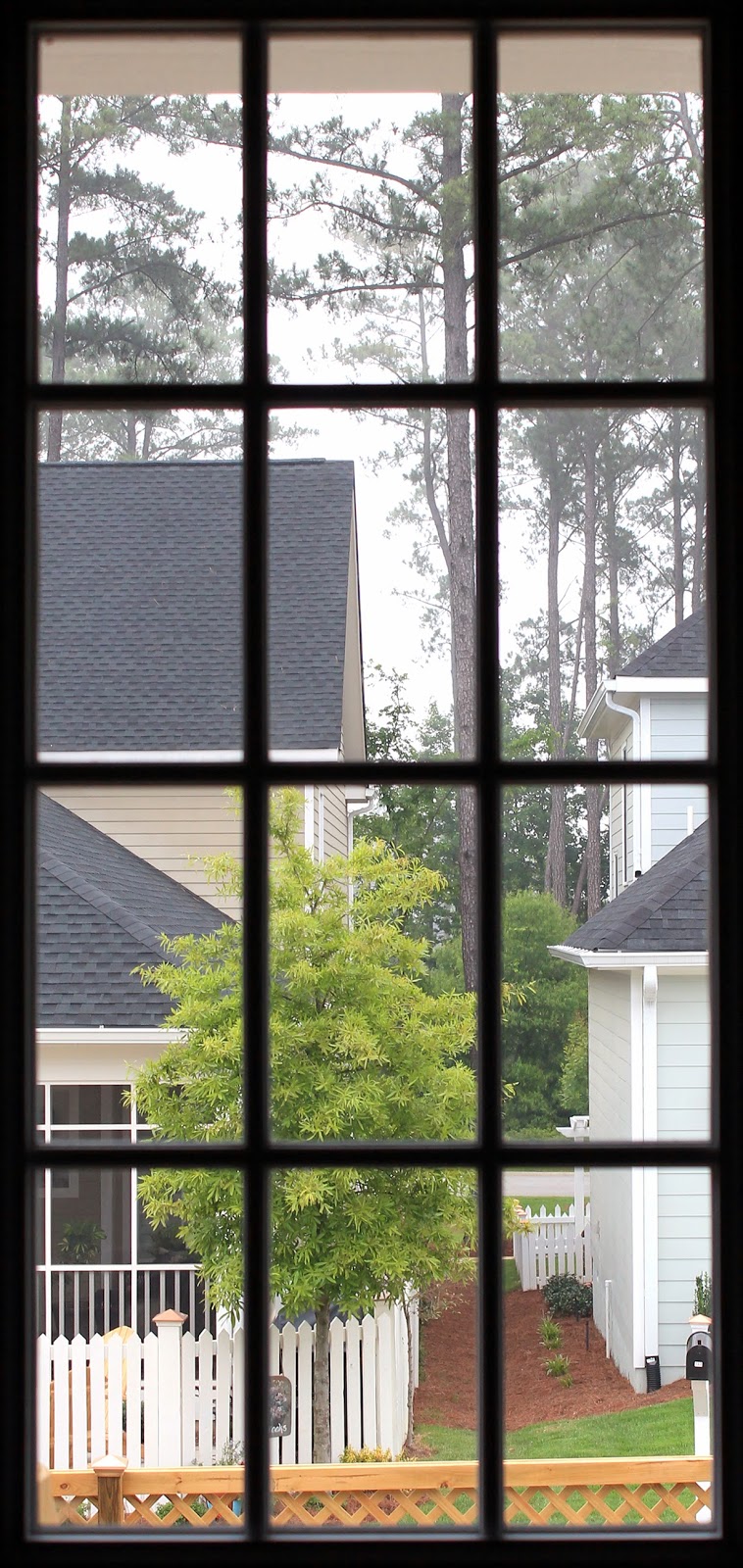 Gallery Glass Class: New Home - New Gallery Glass Windows