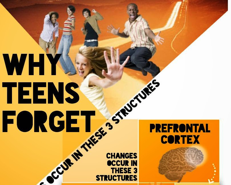 http://anethicalisland.wordpress.com/2013/11/11/why-is-my-teen-so-forgetful/