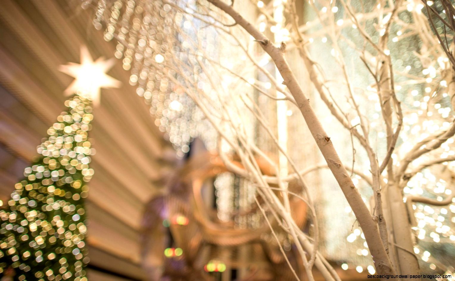 San Francisco Christmas Tree Lighting 2014 San Francisco Christmas Tree Lighting 2014