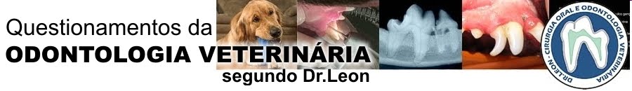 Odontologia Veterinária - Dr Leon