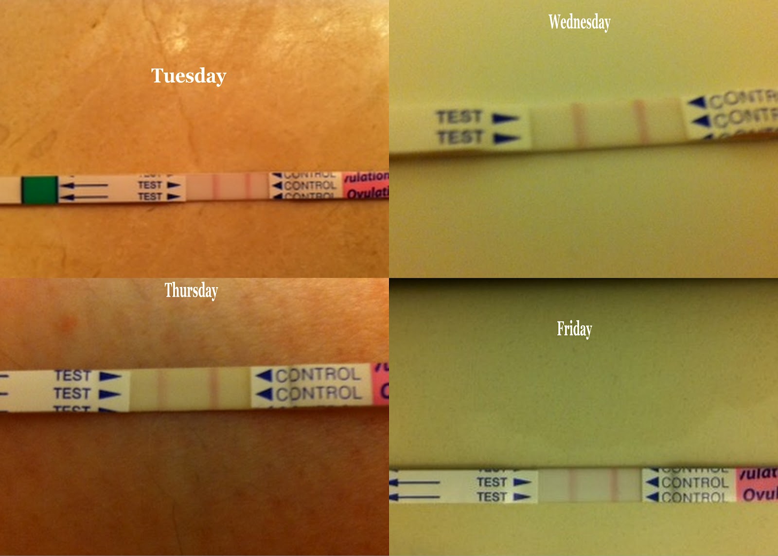 My Glamorous Life with PCOS Ovulation Craziness