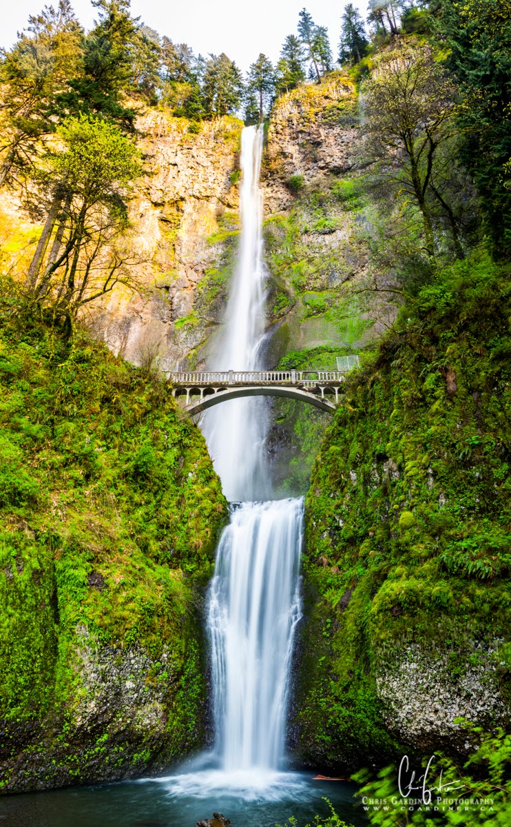 Multnomah Falls in Columbia River Gorge, Near Portland Oregon by Chris Gardiner Photography www.cgardiner.ca