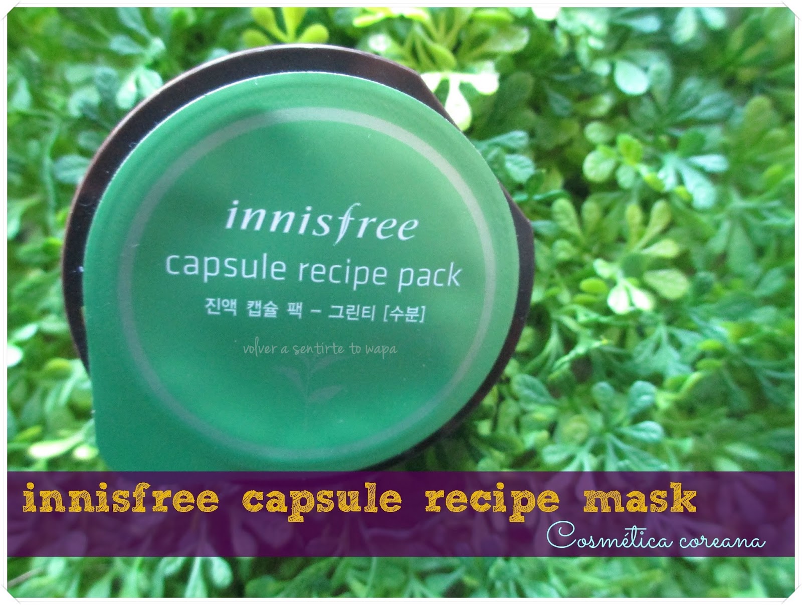 innisfree capsule recipe - Green Tea Mask 