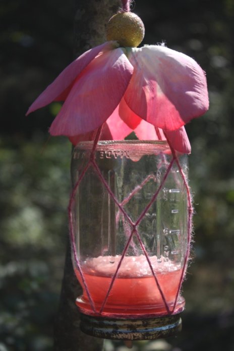 butterfly feeder butterfly feeder