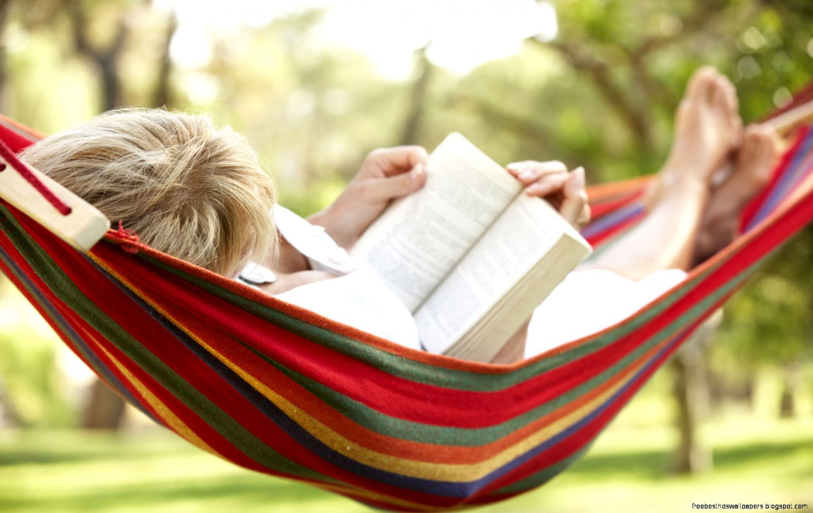 Person Reading a Book in a Hammock Person Reading a Book in a Hammock