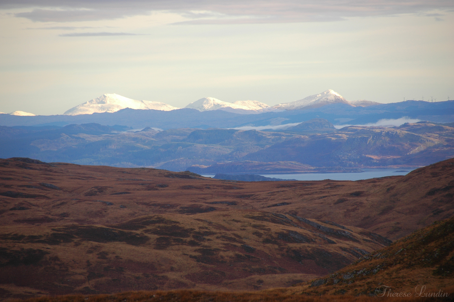 JAKT I SKOTTLAND, JURA 2012