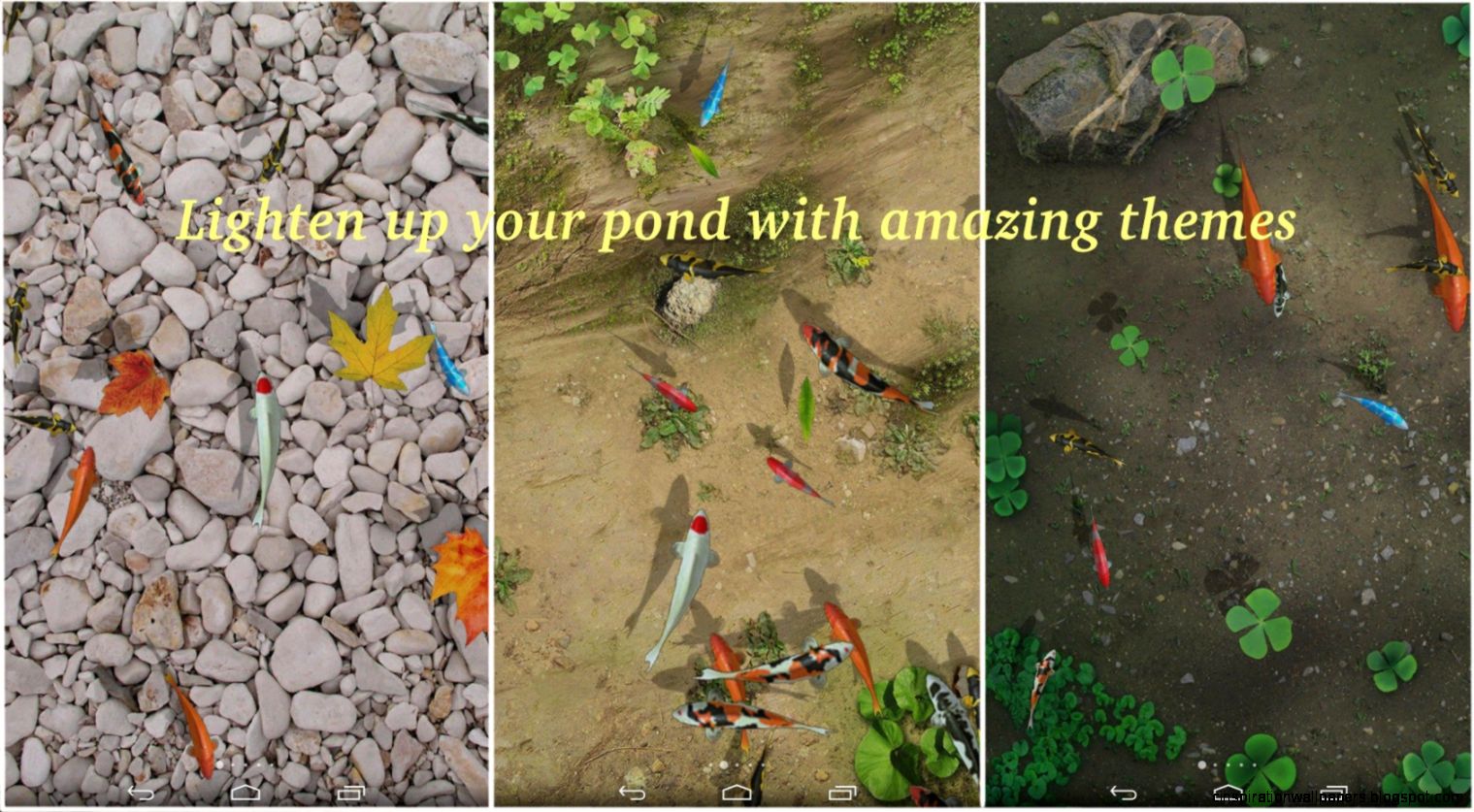 Water Pool Live Wallpaper Android Apps on Google Play Water Pool Live Wallpaper Android Apps on Google Play