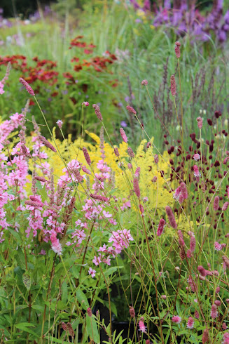 Terolan Taimitarha Terola's Nursery