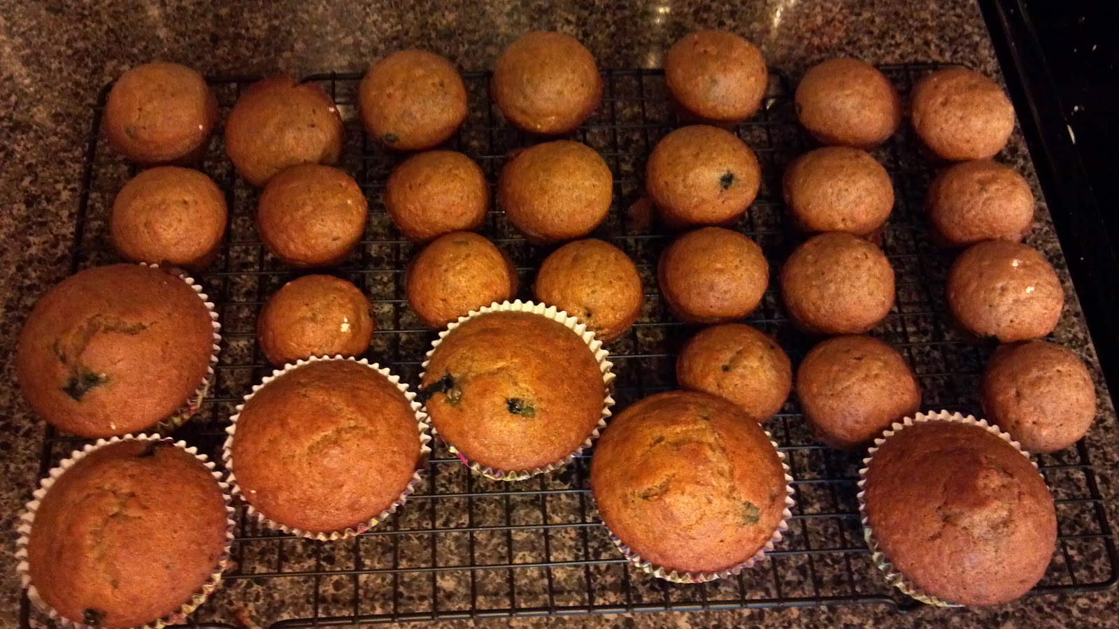 Fruitful Family Whole Wheat Blueberry Flax Muffins