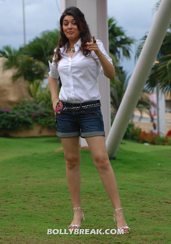 Hansika motwani posing in denim shorts and white shirt hot pic -  Hansika Motwani latest photo