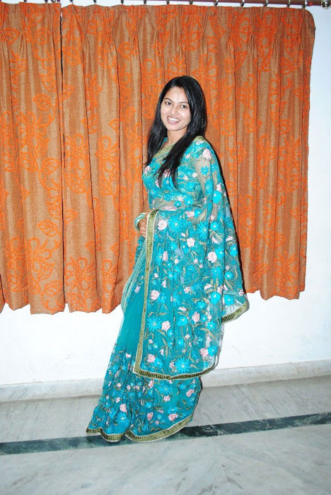 suhasini saree suhasini transparent saree actress pics