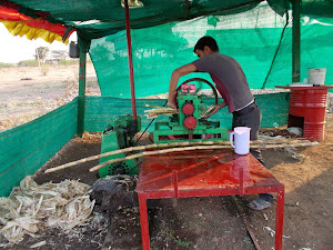 Fresh Sugarcane juice right from the Sugarcane fields.