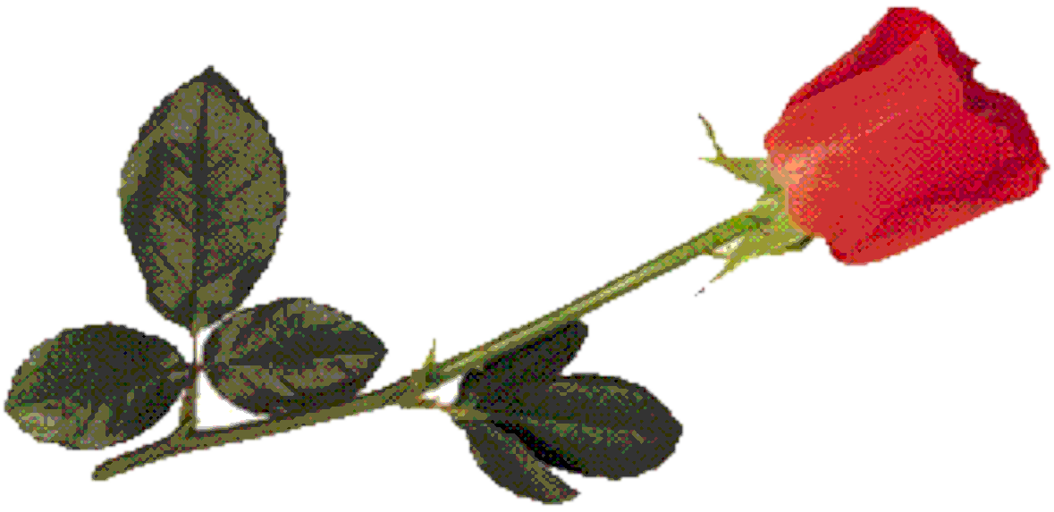Download Cara Merubah Gambar Jpg Ke Png Di Coreldraw Gif