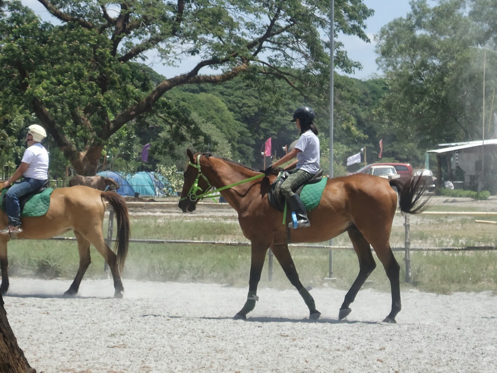 Horse Riding Philippines