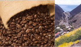 Kopi "Island" Dari St Helena Coffee Company Kopi Terbaik dan Paling Mahal di Dunia