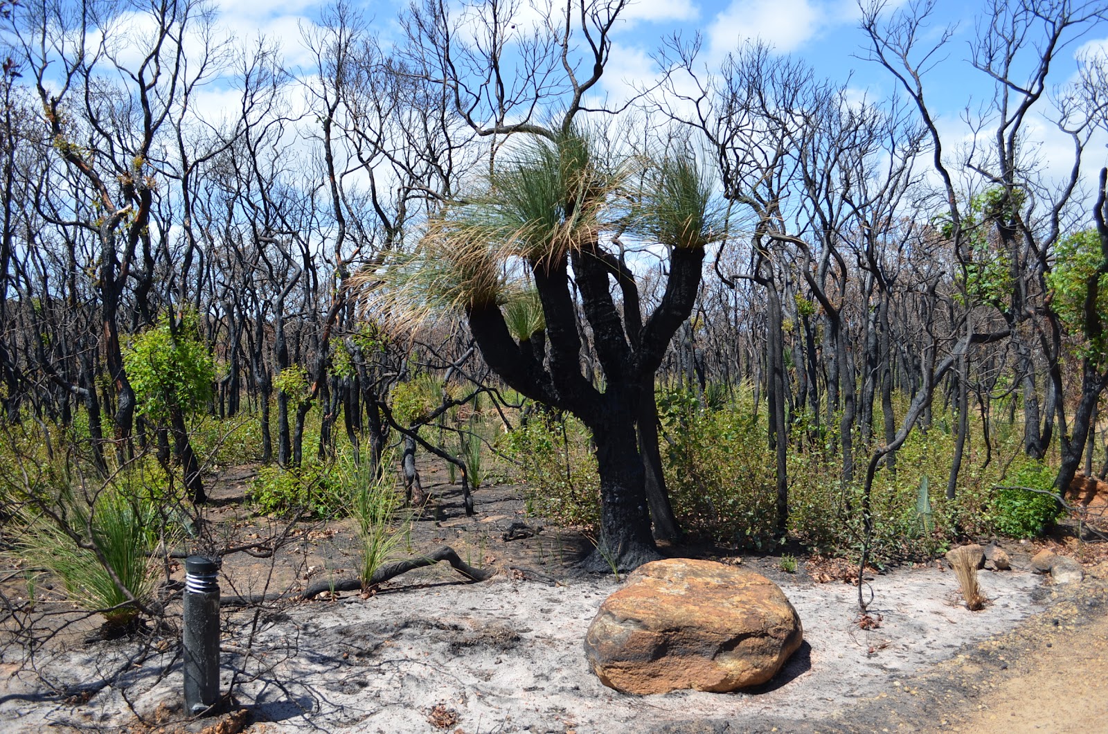 Margaret River Correspondent: Boodjidup Beach, Margaret River