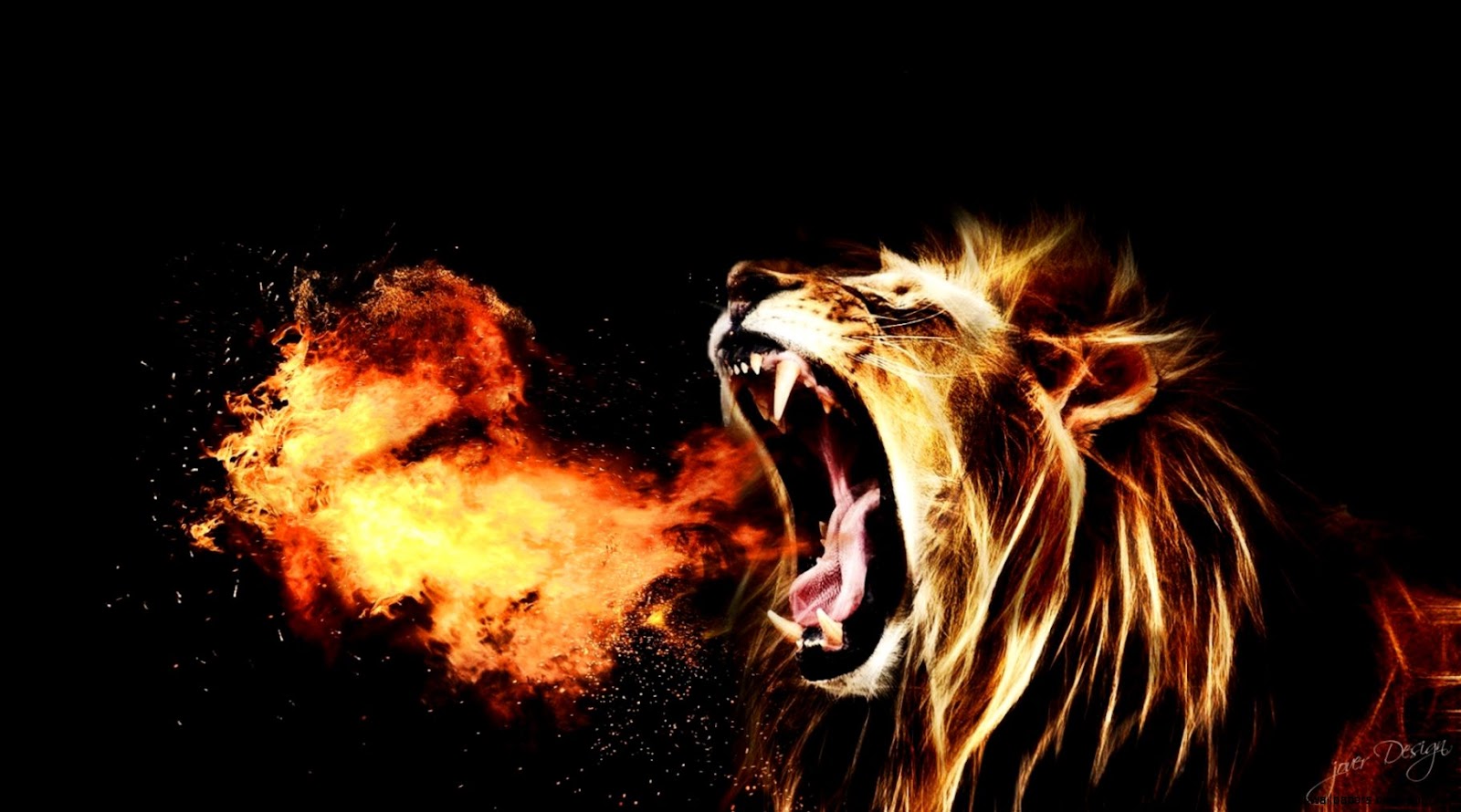 Cool Lion Roaring Cool Lion Roaring