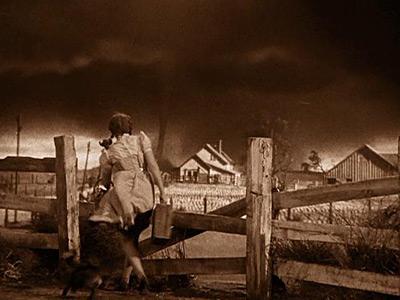the wizard of oz