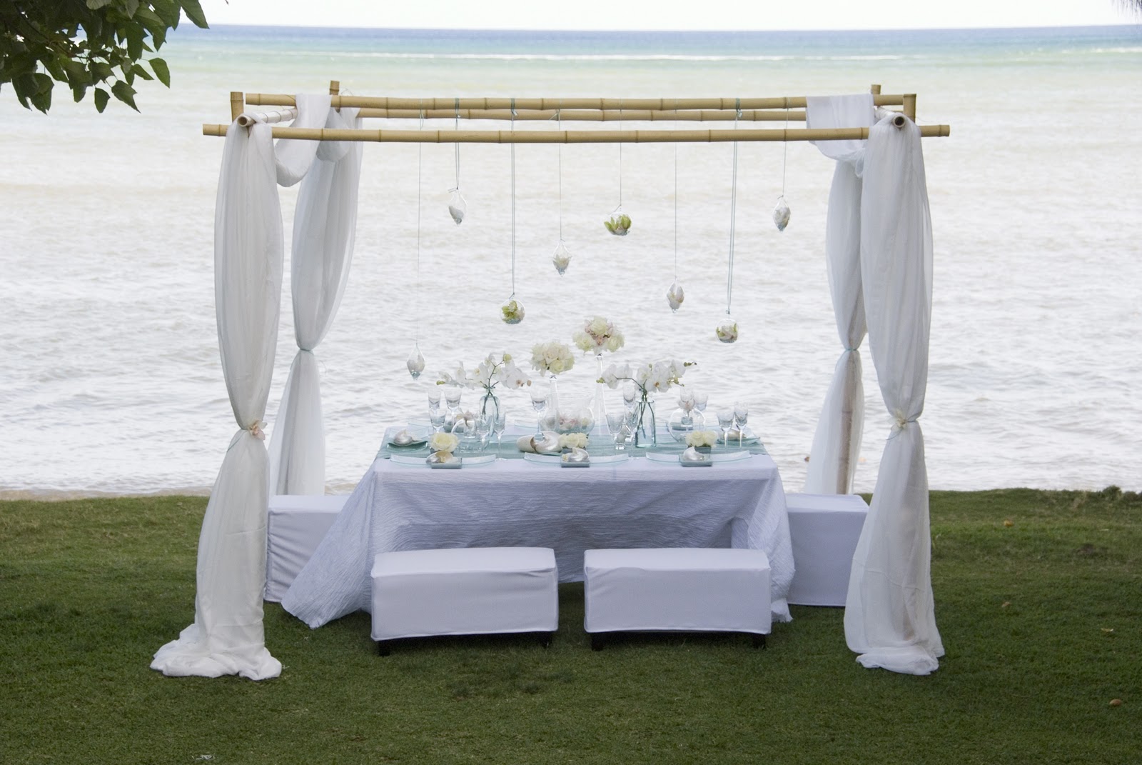 Rocks Daily Biggest Diy Wedding Canopy