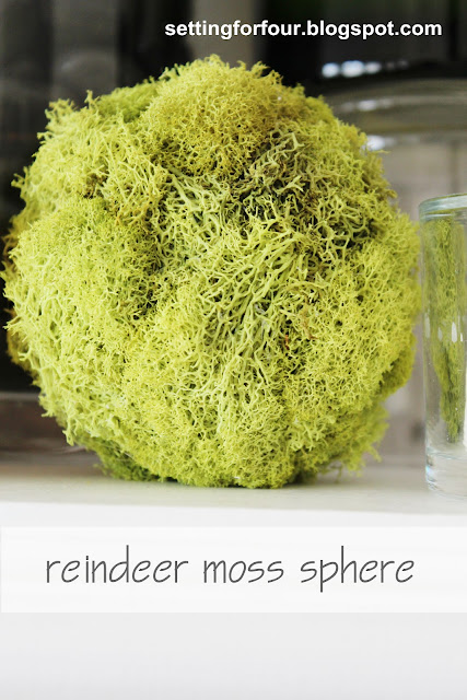 Make these quick and easy DIY Reindeer Moss Spheres for home decor accents! See the tutorial! Add them to a mantel, a bowl or apothecary jar for a pretty pop of green color! Nice for spring decor too.