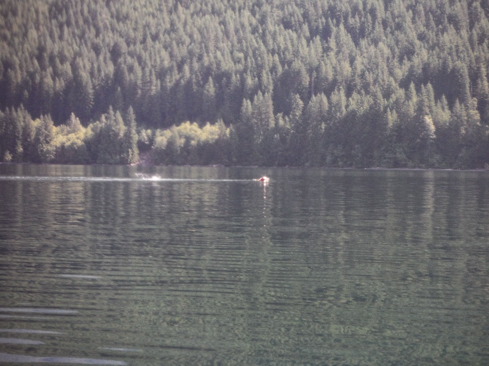 Discover Outdoors Kayak Chilliwack Lake, BC A fishy story