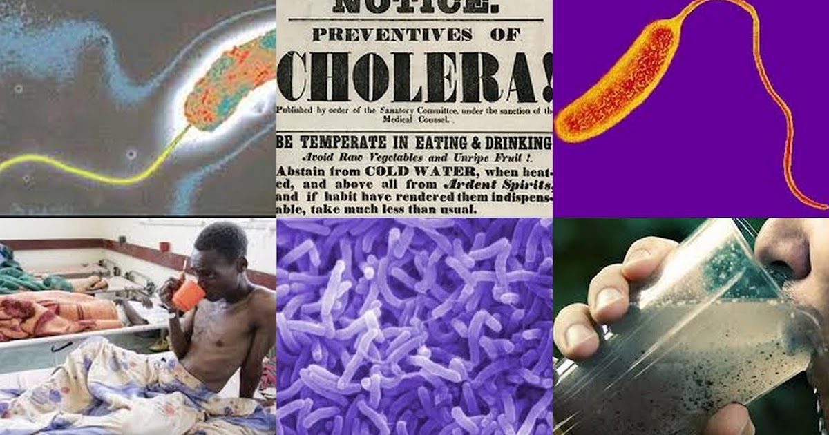 Environmental Sciences: EPIDEMIC DISEASE