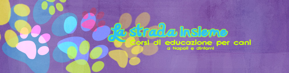 La strada insieme - Corsi di educazione per cani a Napoli e dintorni -
