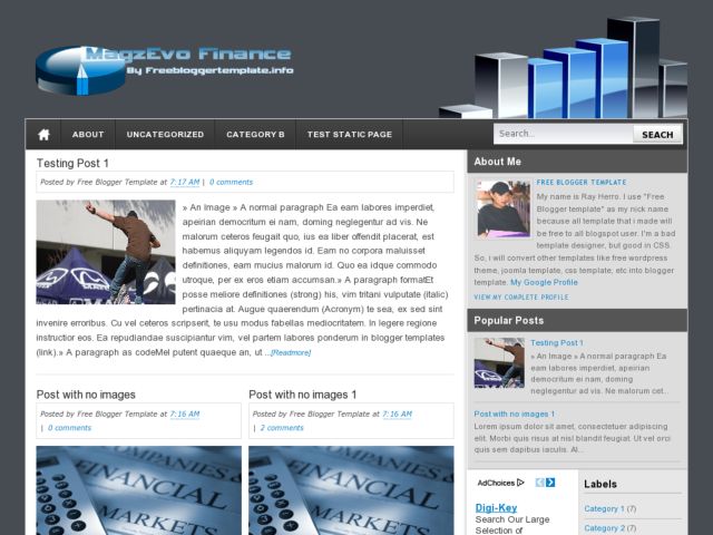MagzEvo Finance Blogger Template