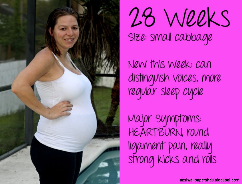Dear BabyBug 28 Weeks Bug Children Dear BabyBug 28 Weeks Bug Children