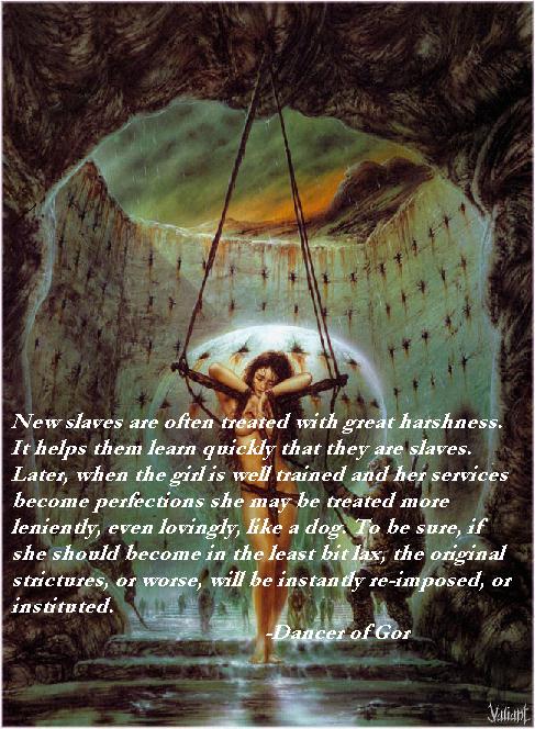 Rondvik Village Trading Post and Training Center: Quote from Dancer of Gor