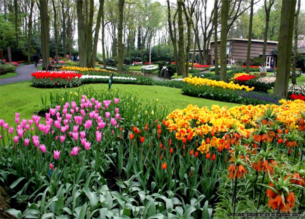 Flower Park wallpapers Crazy Frankenstein Flower Park wallpapers Crazy Frankenstein