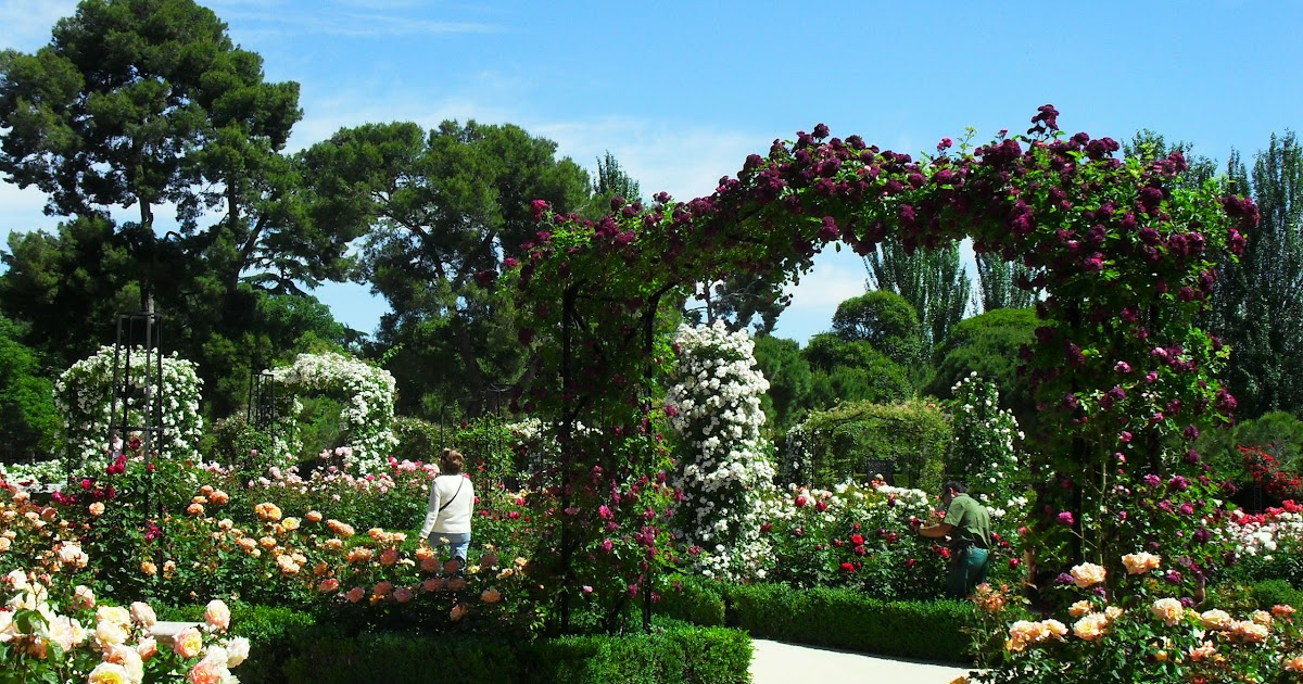 ARTE Y JARDINERÍA : EL JARDÍN DE ROSAS