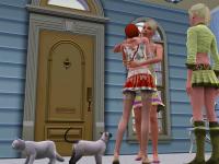 catstory-1.jpg