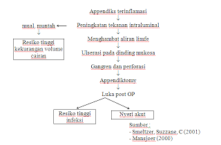 Pathway Apendisitis