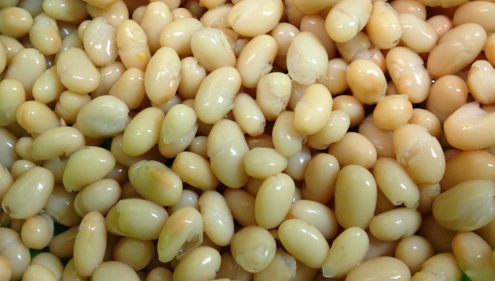 Know The Health Benefits of Navy Beans Total Stylish