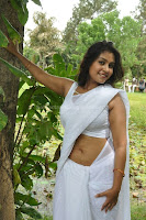 Varsha, k, pandey, hot, cleavage, and, navel, saree, pics